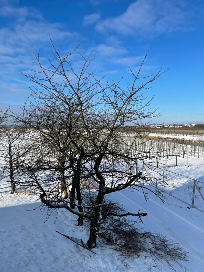 Apartmán Treffpunkt Gehrden Jork Exteriér fotografie